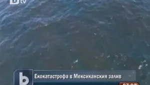Разраства се екокатастрофата в Мексиканския залив