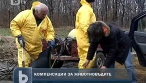 Държавата подпомага засегнатите от шап стопани на три нива
