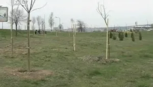 Откраднаха новозасадени фиданки край Благоевград