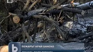 Овладяха пожара в района на Баско