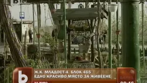 Едно цветно кътче сред сивите панелки 