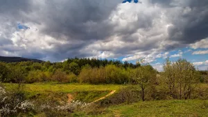Времето на 3 март: Слънцето отново се показва, но само над Югозападна България