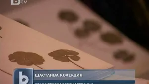 Семейство намерило над две хиляди четирилистни детелини