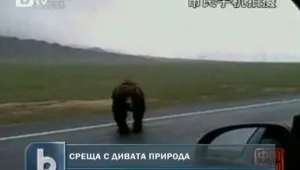 Мечка нападна туристи в Китай