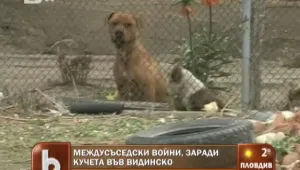 Цяло село трепери от домашни кучета