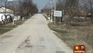 Нападения на лисици в силистренско село