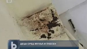 Детското отделение в Шумен е пълно с мухъл