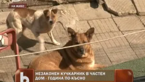 Незаконен кучкарник тормози от 10 години софиянци