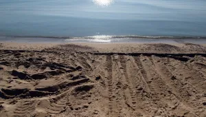 Затрупаното с пясък момче е излязло от кома