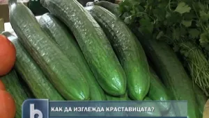 Правителството иска прави краставици