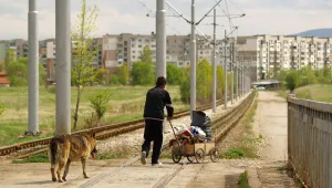 Босненски роми поробили германско момиче
