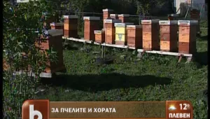 25-30% от пчелните семейства в България загинали