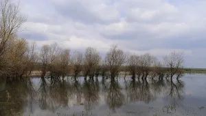 ДНСК поема контрола върху язовирите