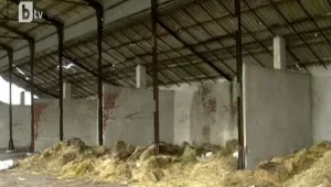 Жители на село си раздадоха 300 000 лева от продадена на търг бивша кооперация