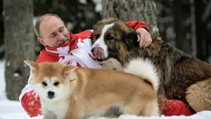 Любовта е смисълът на живота, заяви Путин