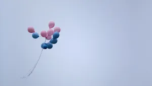 Ще присъствате ли на предизборни мероприятия?