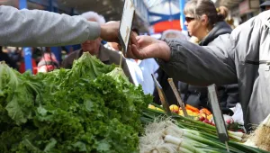 Протестна подписка срещу евтините румънски зеленчуци на пазара във Видин