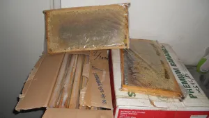 Митничари хванаха 213 пчелни пити и 1133 парфюма
