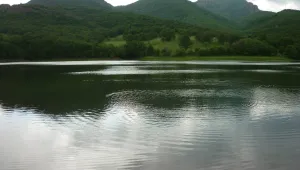 Високи води, наводнени къщи, скъсани мостове и евакуирани хора във Видинско