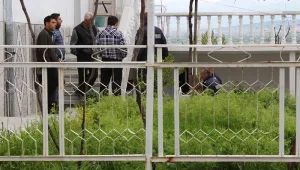 Топло посрещане в Крън на сирийските семейства, изгонени от Розово