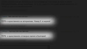 И ГЕРБ ползва организирани поддръжници в интернет