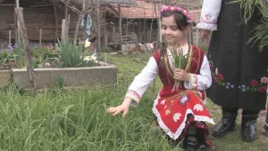 Самардала - уникалната подправка за яйца и агнешко в село Конаре