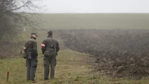 Австрия иска да разположи военни по границата с Италия