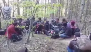 Нови 
