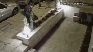 Охранителни камери разкриха системна кражба на дръвчета 