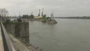Огромни мазутни петна се появиха в р.Дунав край Русе