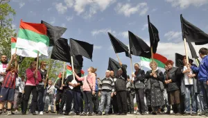 Протест на фермери с черни знамена заради масовото унищожаване на крави