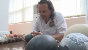 Как се гравират яйца