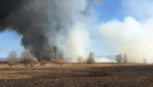Пожар в района на Елин Пелин стресна хората