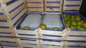 Митничари на Калотина иззеха 3720 кг прекурсор за производство на хероин