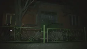 Крадци завързаха възрастна жена със свински опашки, за да оберат дома ѝ