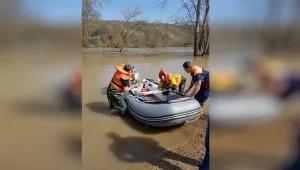 Гранични полицаи задържаха 7 нелегални мигранти в района на р. Тунджа