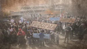 Васил Долапчиев: Мащабът на измамите с ТЕЛК не е толкова висок, че да ни тревожи