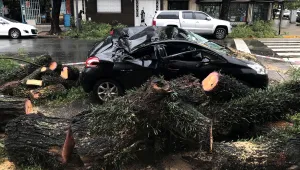 Силна буря взе две жертви в Буенос Айрес (ВИДЕО)