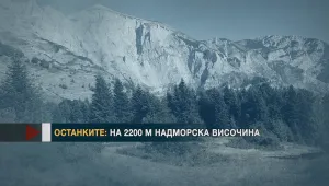 МВнР: Идентифицирането на телата ще отнеме време, не са намерени документи