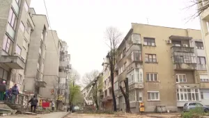 Граждани недоволстват от изсичането на липи в Добрич 