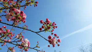 Топло в неделя, на места с краткотрайна валежи с гръмотевици