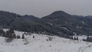 Пампорово осъмна с 10 см снежна покривка