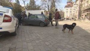 Ротвайлер нападна жена и уби кучето ѝ в София