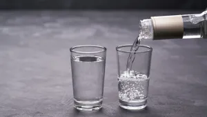 Шведски производител спира да изнася водка за Русия