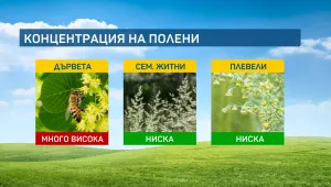 Слънчевото време ще доведе до повишение в концентрацията на полени