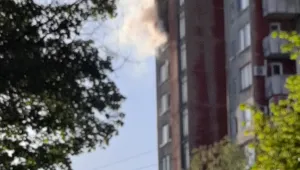Пожар лумна в жилищен блок в Пловдив, има загинал (СНИМКИ)