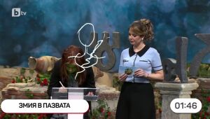 Аз обичам България: Познайте изразите по рисунката! | Аз обичам България  