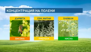 Алергичните към полени ще намерят спокойствие в планините и край морето