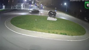 Опасни маневри на кръгово в Ямбол, камери заснеха нарушителя (ВИДЕО)