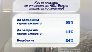 Българите масово на мнение, че трябва да завършим АЕЦ 